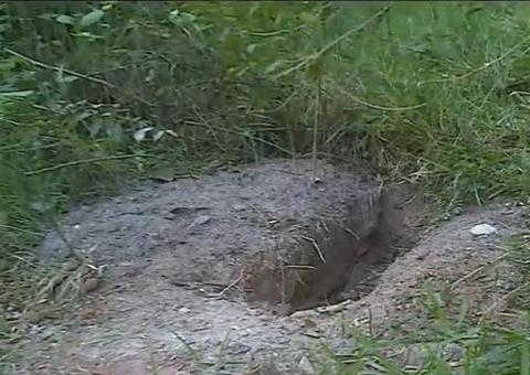 Cinco corpos são encontrados em possível cemitério clandestino de facção