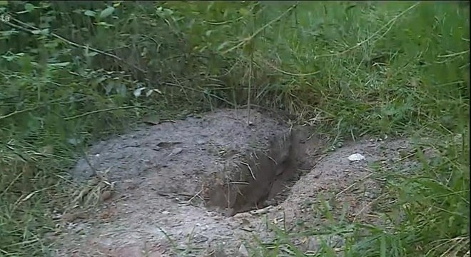 Cinco corpos são encontrados em possível cemitério clandestino de facção