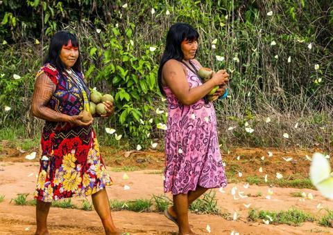Covid-19 se alastra atingindo um terço dos povos indígenas; mais de 300 mortes