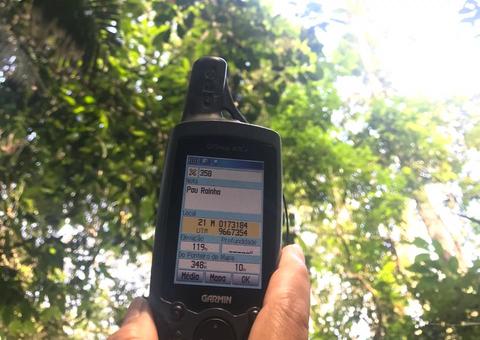 Musa lança projeto 'Amicus Flora’ para adoção de árvores