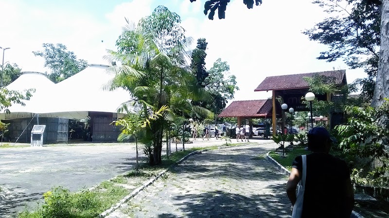 Musa lança projeto 'Amicus Flora’ para adoção de árvores