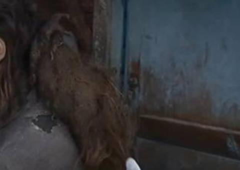 Mãe mantém a própria filha em cativeiro por quase 30 anos em condições degradantes