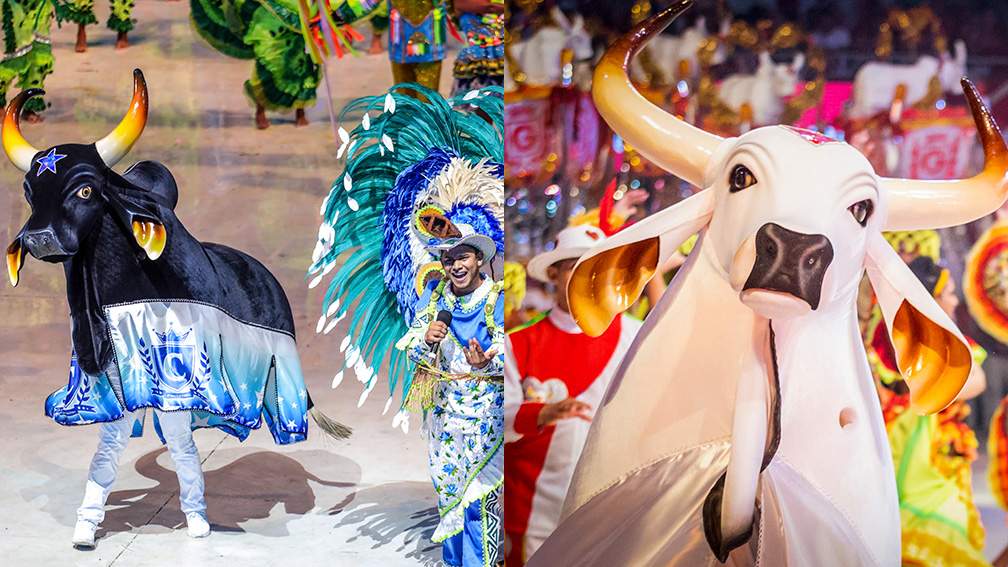 MP pede suspensão da venda de ingressos do Festival de Parintins