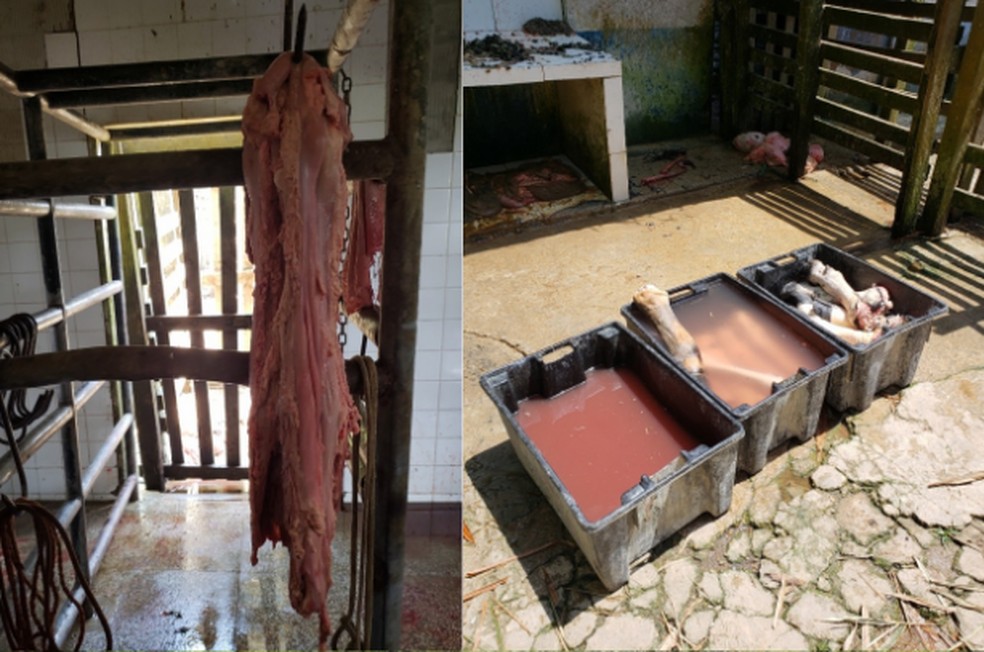 MP determina interdição de matadouro no interior do Amazonas 