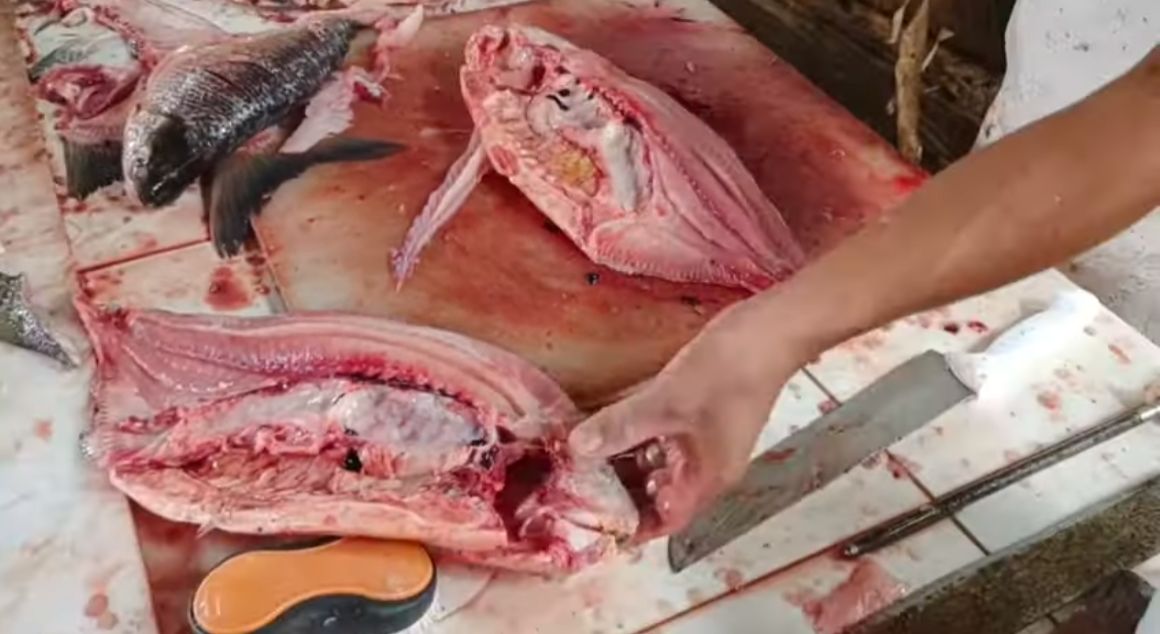 Homem morre após engasgar com espinha de peixe e engolir pedra no Ceará