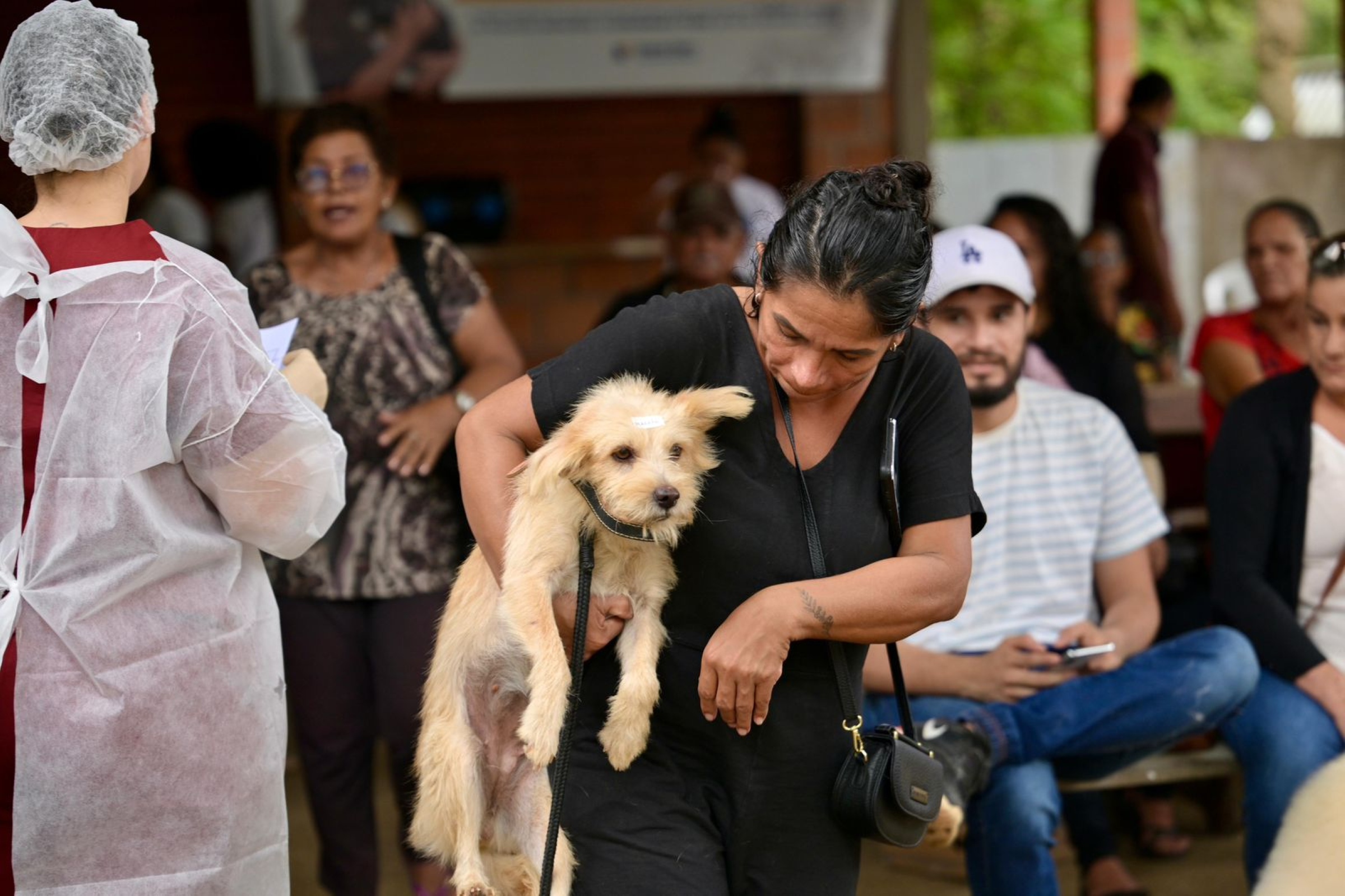 Mais de 800 animais são castrados durante ação em Iranduba