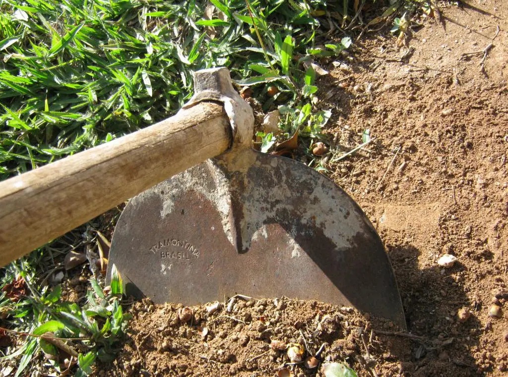 STF muda sentença de homem com pé amputado condenado a capinar praça