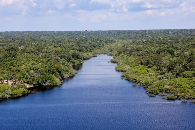 Há mil anos, indígenas da Amazônia combinavam plantio de milho e criação de patos