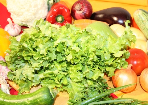 ADS leva ‘Feira Regional Delivery’ para a 42ª Expoagro em Manaus