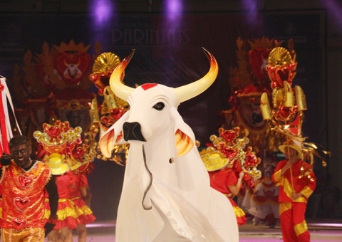 Boi Garantido lança tema oficial 2021 em live neste fim de semana