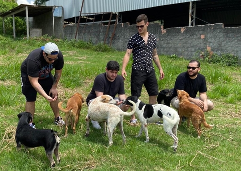 Banda Doral mostra animais disponíveis para adoção em Manaus em clipe fofo