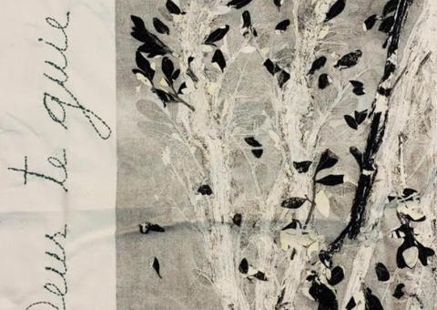 Casarão de Ideias recebe projeto nacional ‘Nenhuma Flor a Menos! Bençãos’