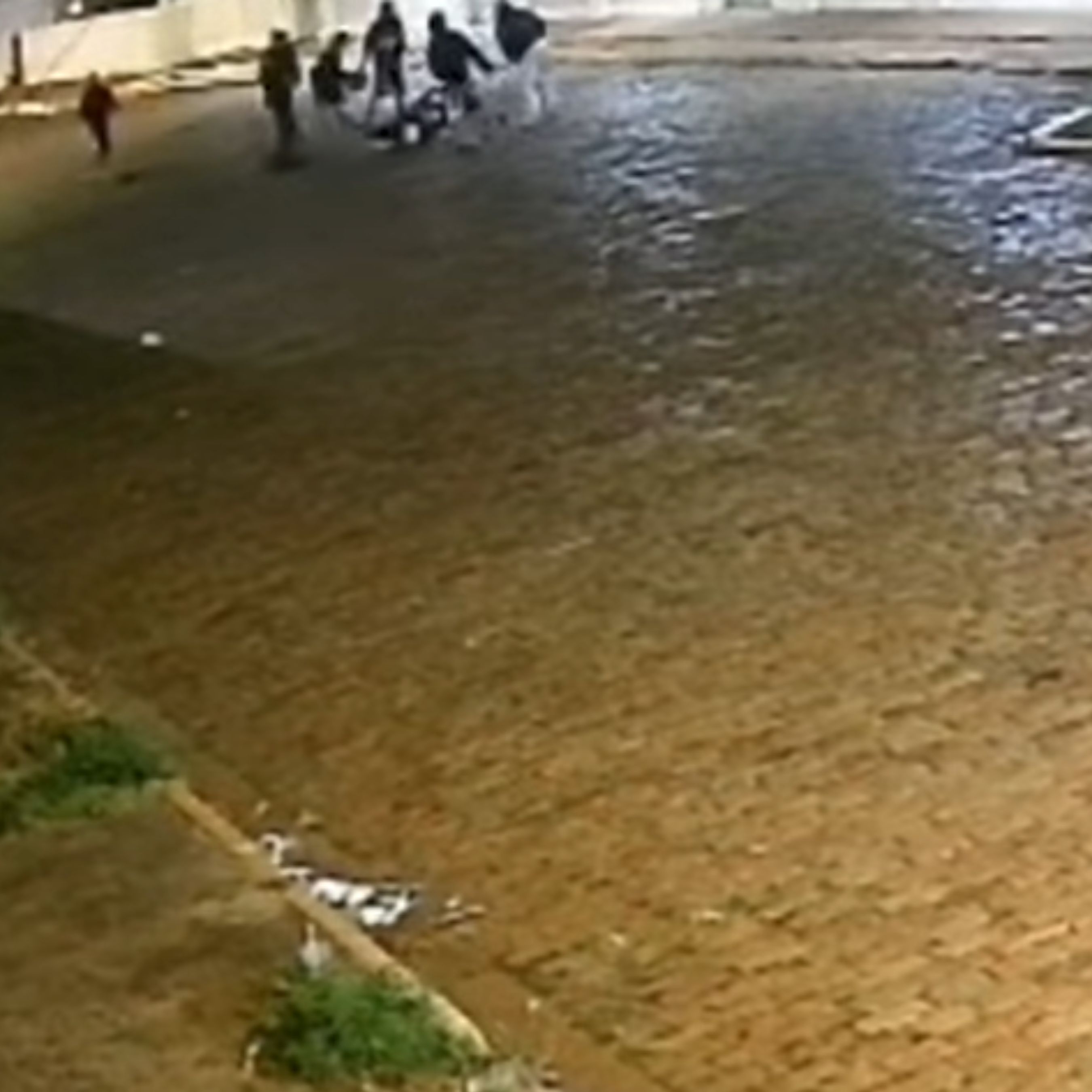 Jovem é brutalmente espancado e tem veículo destruído por grupo homofóbico em MS