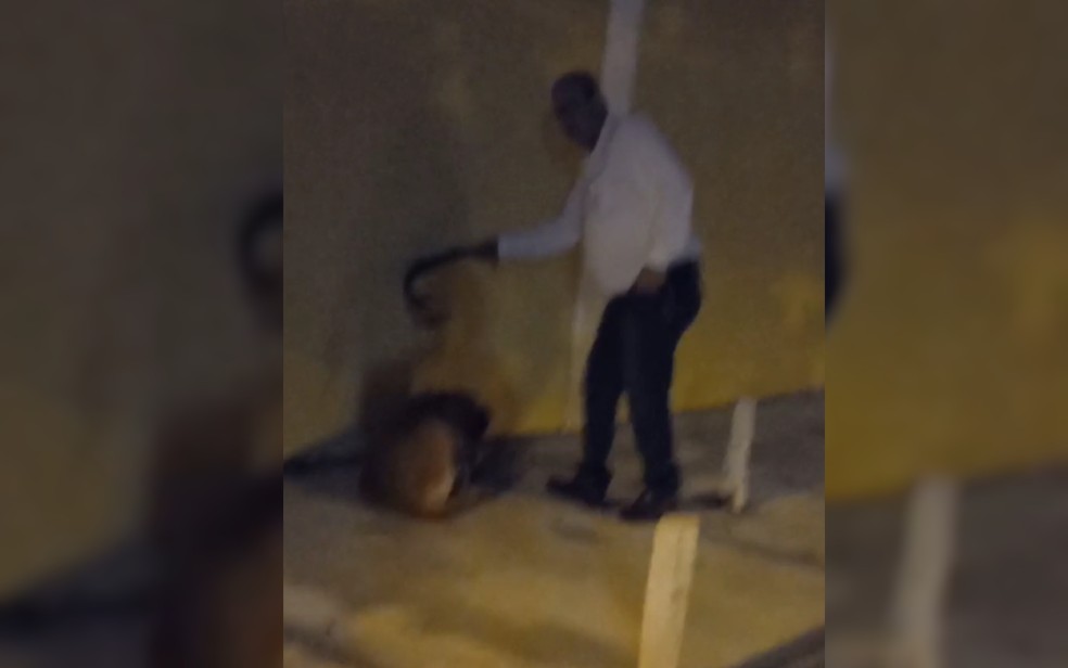 Cachorro chora de dor ao apanhar de cinto por homem em parque