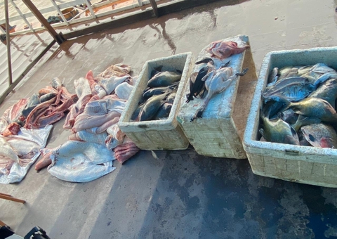 Dono de barco é preso com mais de 600 Kg de pescado ilegal no Amazonas