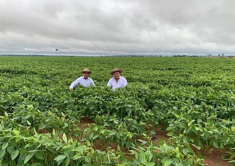 Aplicação do Basa no Plano Safra 2020/2021 supera os R$ 2,4 bilhões