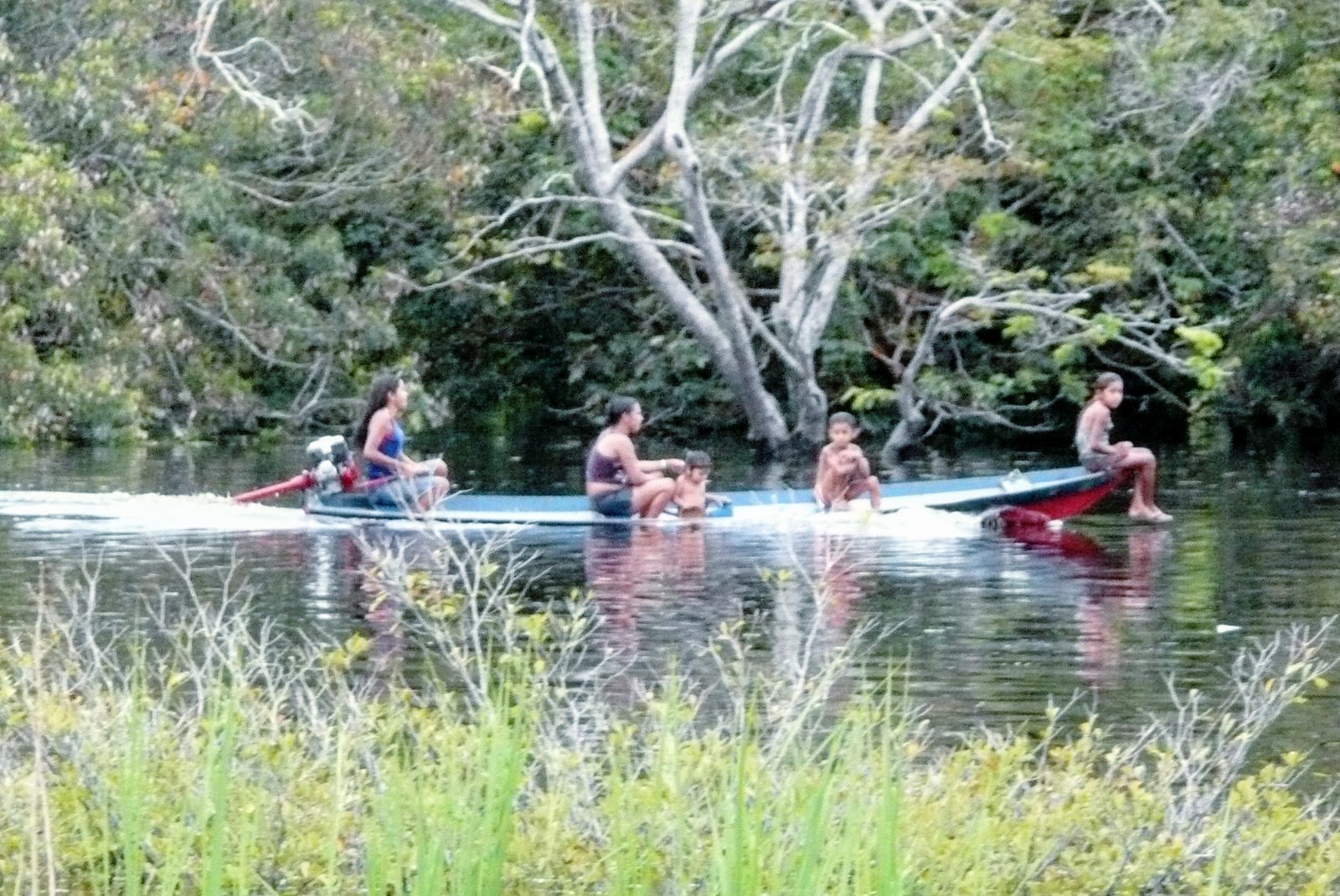 Workshop sobre fitoterápicos do BioAmazonas acontece a partir desta segunda