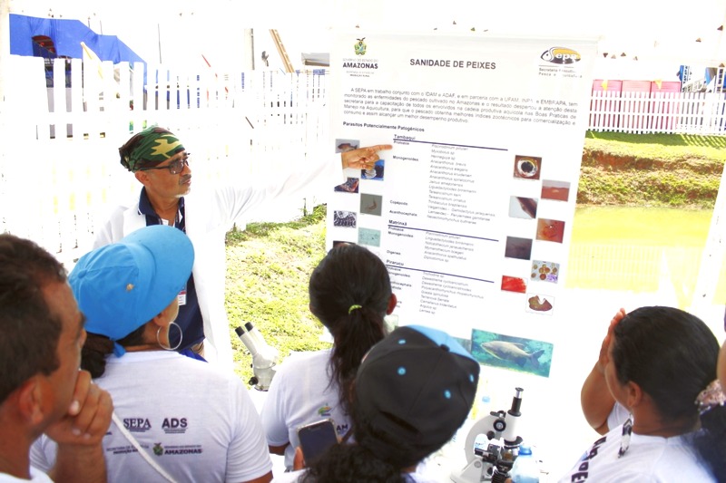 Produtor do Amazonas tem cursos virtuais gratuitos de capacitação rural