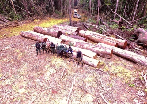 Operação embarga mais de 3,7 mil hectares de terras no sul do Amazonas
