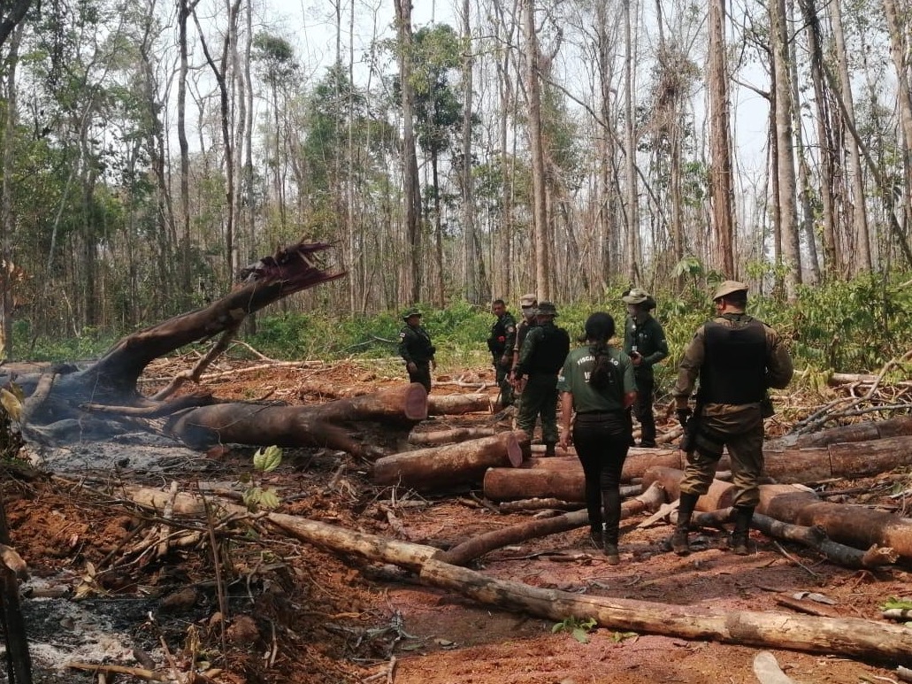Operação embarga mais de 3,7 mil hectares de terras no sul do Amazonas