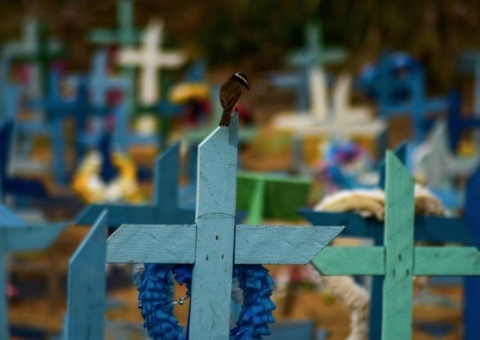 Covid: 569 novos casos e 10 mortes pela doença são registrados em Manaus