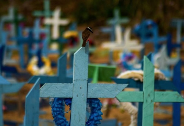 Covid: 569 novos casos e 10 mortes pela doença são registrados em Manaus