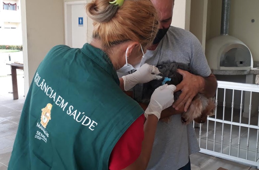 CCZ promove ações da campanha de vacinação antirrábica