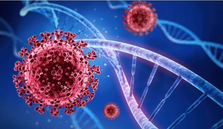 São Paulo confirma três casos de Covid por variante surgida em Manaus