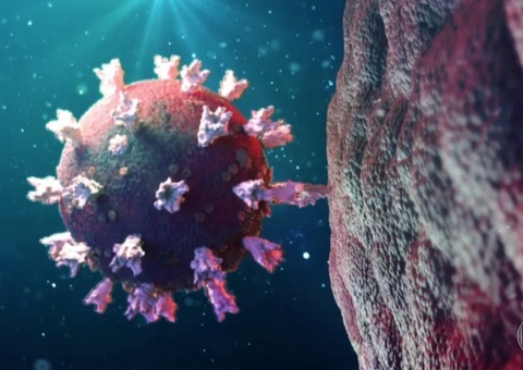 91% dos casos de Covid no Amazonas em janeiro é por variante amazônica