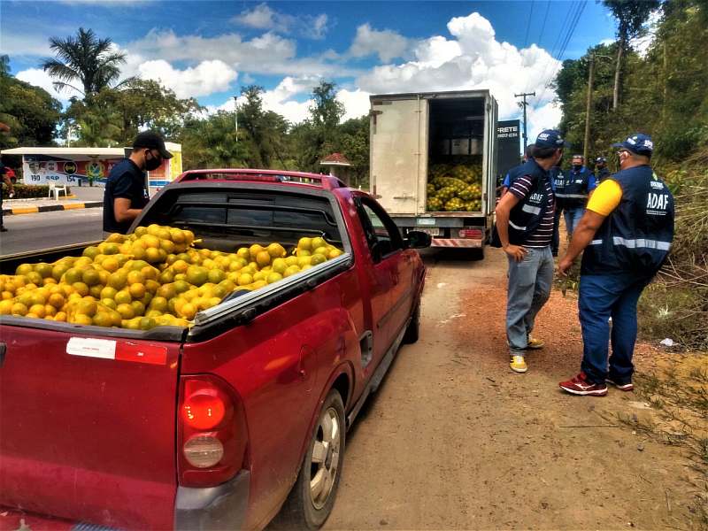 Adaf fiscaliza mais de 52 mil veículos e apreende cargas irregulares