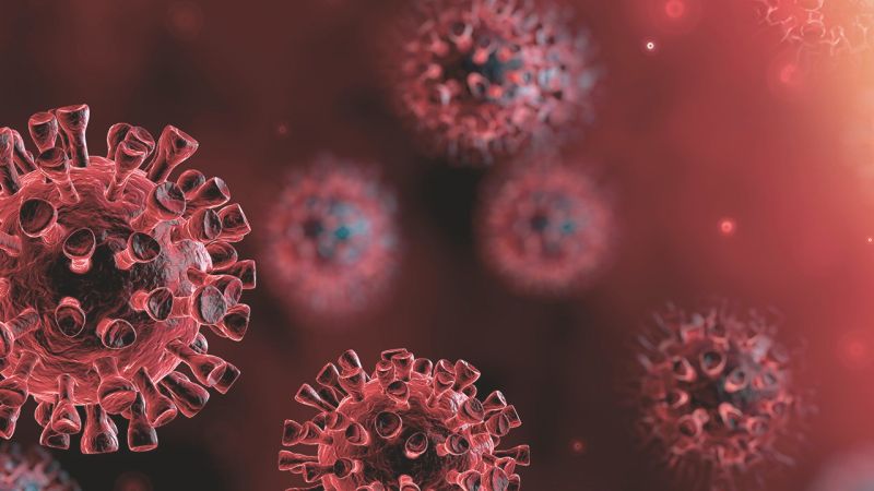 Serafim diz que não dá para negar existência da covid-19 e quer vacinação