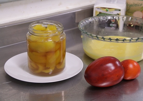 Tecnologias sociais são tema de webinar do Inpa