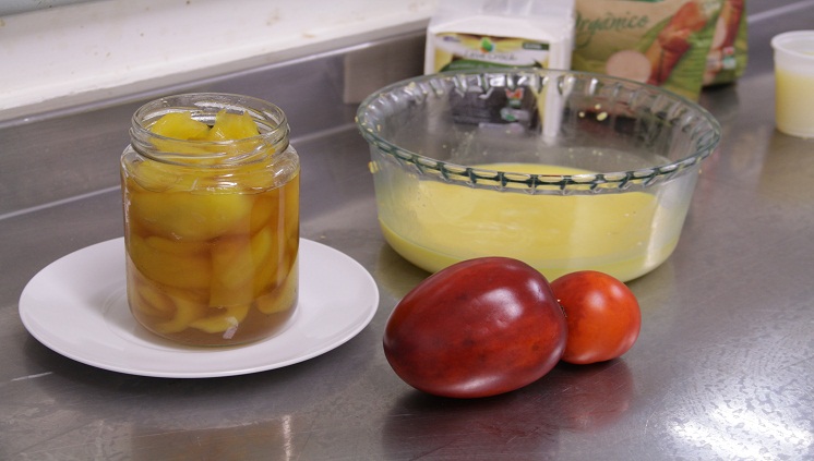 Tecnologias sociais são tema de webinar do Inpa