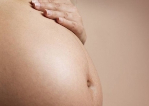 Restrição de proteína na gravidez pode aumentar risco de diabetes