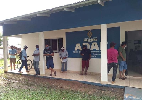 Trânsito animal foi menor no Amazonas em 2020