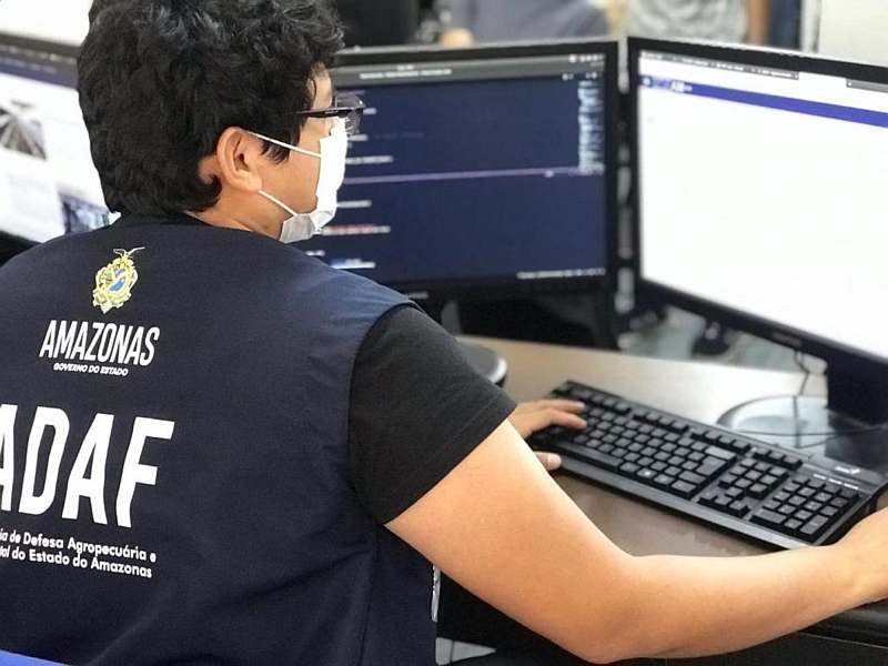 Trânsito animal foi menor no Amazonas em 2020