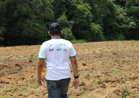 Ufam e órgãos estaduais do Amazonas fazem experimentos com malva