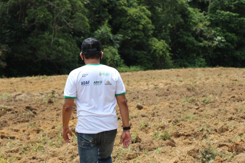 Ufam e órgãos estaduais do Amazonas fazem experimentos com malva