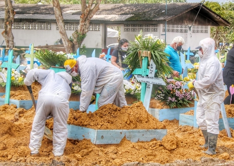Dados superestimados e novas linhagens podem ajudar a explicar situação de Manaus