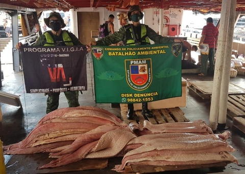 Embarcações com pescado e madeira ilegal são apreendidas em Manaus 