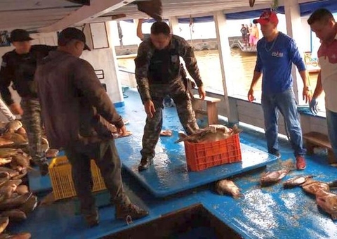 Três toneladas de pescado ilegal são apreendidas no Amazonas