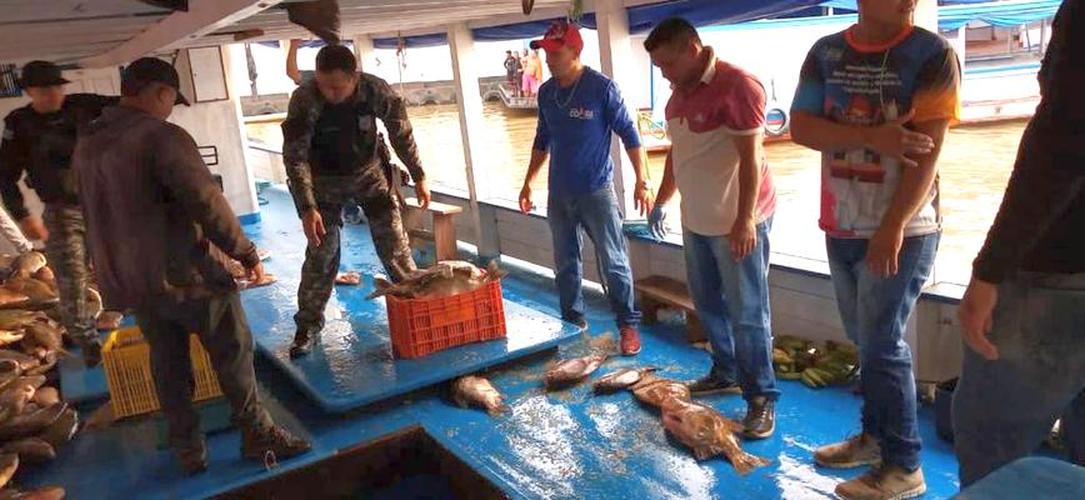 Três toneladas de pescado ilegal são apreendidas no Amazonas