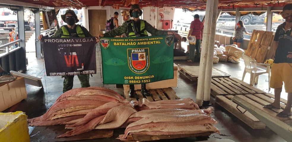 Embarcações são apreendidas com mais de 700kg de pescado ilegal em Manaus