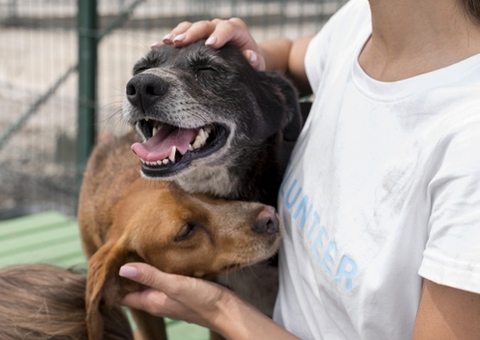 FAS lança edital para doação de ração a protetores de animais