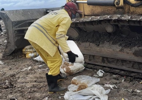 Adaf apreende 81 quilos de queijo impróprio para consumo no Amazonas