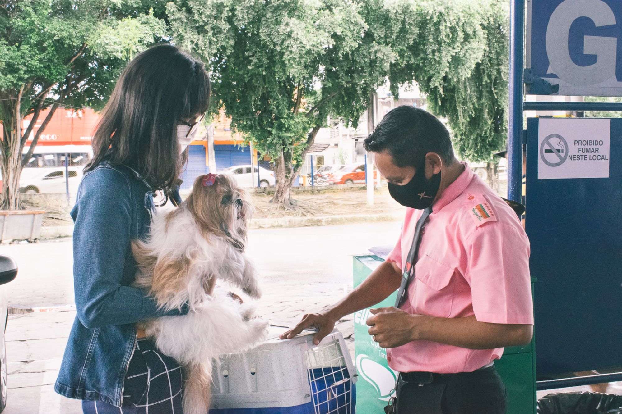 Veja regras para levar animais domésticos em ônibus intermunicipal no AM