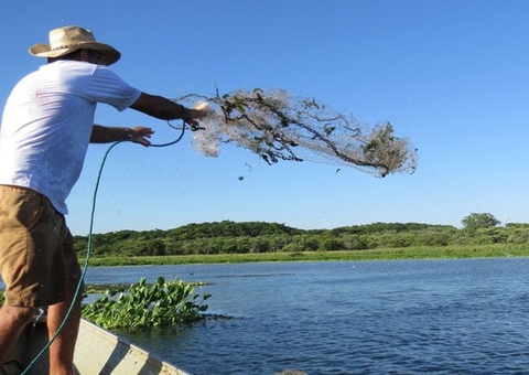 Inicia período do defeso no Amazonas; veja espécies que tem pesca proibida