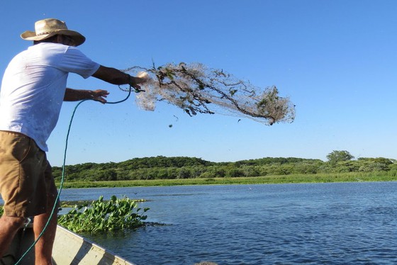 Inicia período do defeso no Amazonas; veja espécies que tem pesca proibida