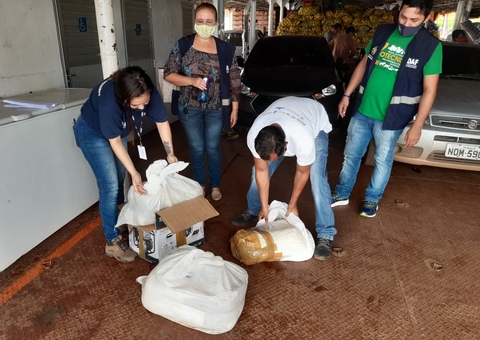 Mais de 80kg de queijo impróprio para consumo são apreendidos no Amazonas