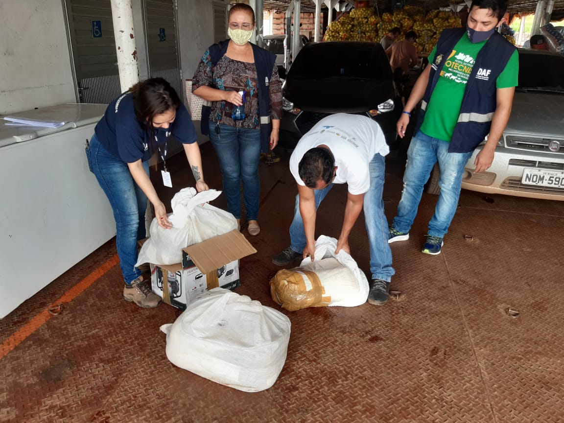 Mais de 80kg de queijo impróprio para consumo são apreendidos no Amazonas